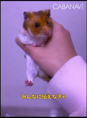 こんばんは!!!の写真