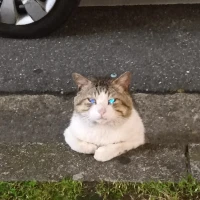 早割り開催中❕️❕️の写真1枚目