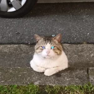早割り開催中❕️❕️の写真1枚目