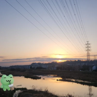 20時半から出勤します🐸