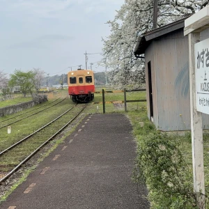 2026.4.4の写真1枚目