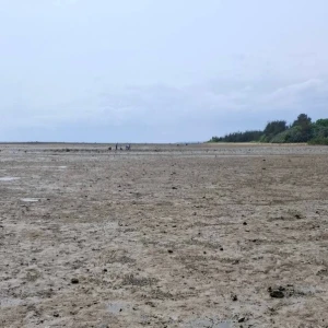 💛の写真1枚目