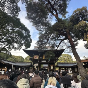 🐍 2025.01.04 🐍の写真1枚目