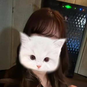 こんばんは- ̗̀🌙  ̖́-の写真1枚目