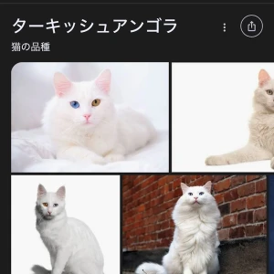 1112のお礼🐇の写真3枚目