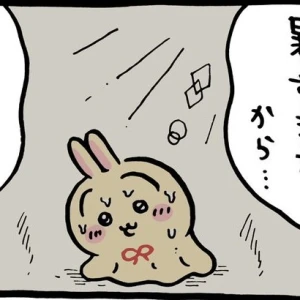 こんばんは~の写真1枚目