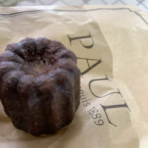 こんばんは✨の写真2枚目