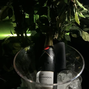 こんばんは🌙の写真1枚目