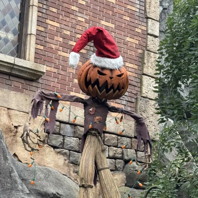 おはようございます☀