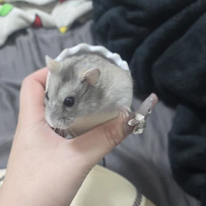久しぶりの2連休してます✨の写真2枚目