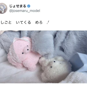 こんばんは！もえです🐰の写真1枚目