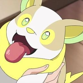 やほ！！の写真1枚目
