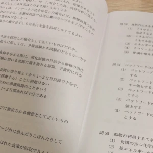 8/30①の写真1枚目
