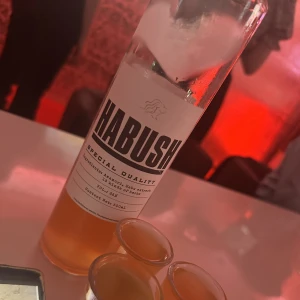 ハブ酒入荷ー🐍🥃の写真1枚目