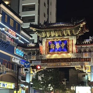 体調が良くなったと思ったらの写真1枚目