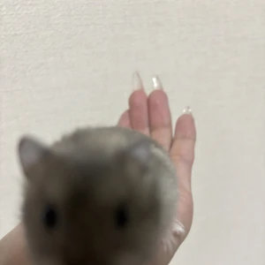 昨日はなんだかんだお店忙しかったな〜ჱ̒ ᴗ ̫ ᴗの写真1枚目