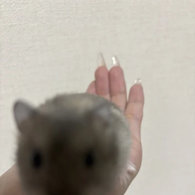 昨日はなんだかんだお店忙しかったな〜ჱ̒ ᴗ ̫ ᴗ