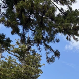 こんばんは！みおんです🧸💭の写真1枚目