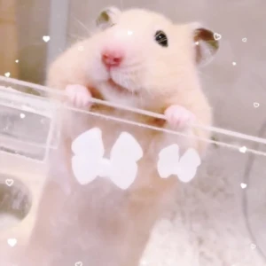 9/16໒꒱· ﾟの写真1枚目