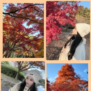 紅葉🍁の写真1枚目