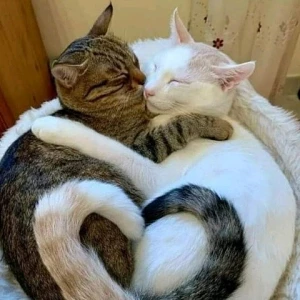 水曜日、おはようございます☀のあです◡̈♥︎の写真1枚目