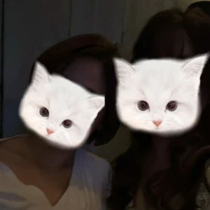 こんばんは🌙の写真1枚目