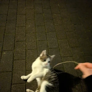 出勤してます😊✨の写真1枚目