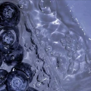 (⃔ *`꒳´ * )⃕↝🦠の写真1枚目