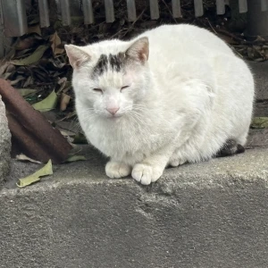 おはよう〜の写真1枚目