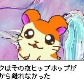 昨日から本入した ナナ です✨💫