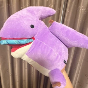 🐕🎂の写真1枚目