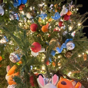 Q10メガ割の写真1枚目