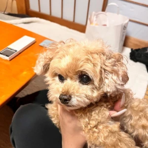 0816の写真1枚目