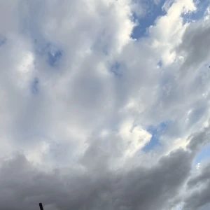 どんより嫌な天気になりつつある☁️の写真1枚目
