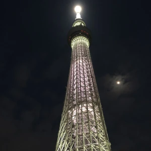 こんばんは🌆の写真2枚目