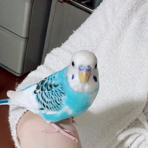 5/22の写真1枚目