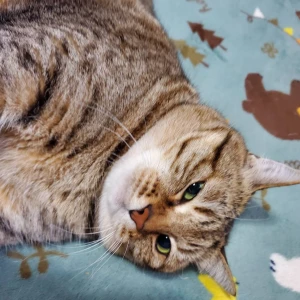 💗明日からいます💗の写真1枚目