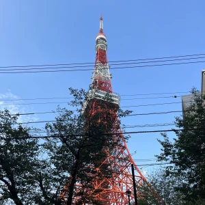 この前東京タワーの真下でフレンチ食べました、美味しかった(^_-)-☆の写真1枚目