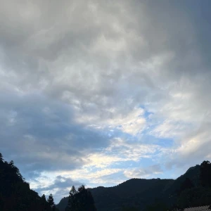 8/16②の写真1枚目