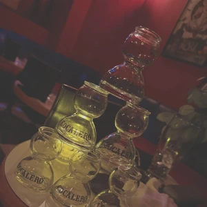 本日21:00〜🐰の写真1枚目