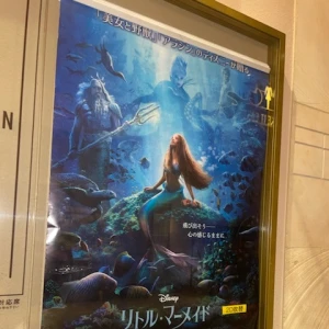 アリエル🧜‍♀️＆お寿司の写真2枚目