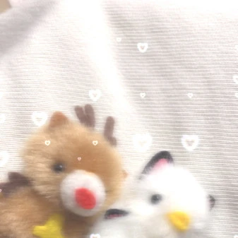 周年イベ2日目‼️