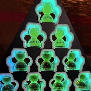 ましろ出勤🦖🐾の写真1枚目