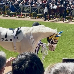 おはようございます。ゆまです🧸🥀の写真1枚目