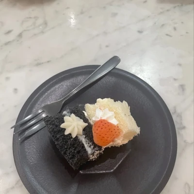 おはようございます🦭