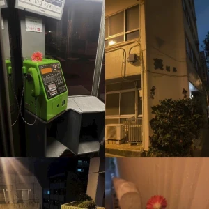 11.25 レゼの聖地巡礼🌌🐈‍⬛🌼.*の写真1枚目