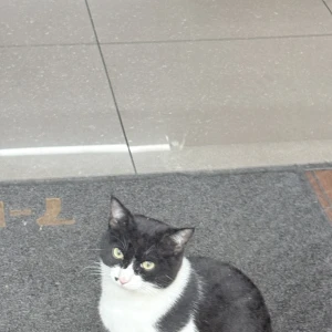 こんばんは‼️みかです🌙の写真1枚目