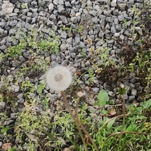 おひさー！💖みれいちゃん久しぶりに出勤してるよーっ！💕🌟の写真1枚目