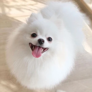 ひっさびさに大転びの写真1枚目