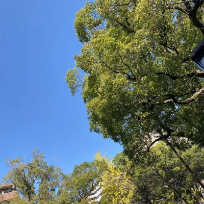 久しぶりにいいお天気ですね☀️